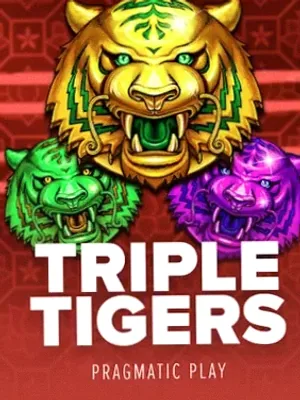 Triple Tigers at Mate