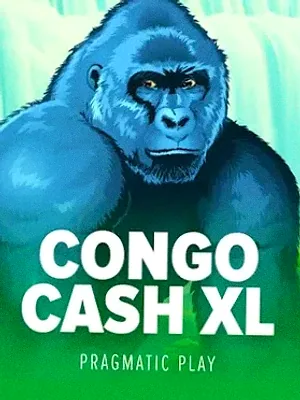 Congo Cash XL at Mate